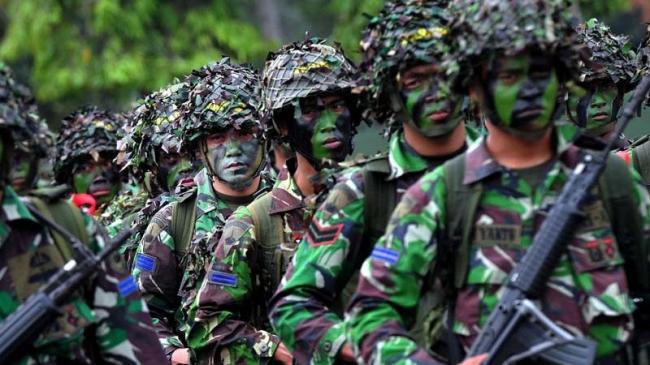 Peran Militer dalam Politik: Batasan dan Realitas